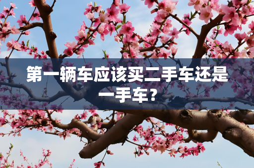 第一辆车应该买二手车还是一手车？