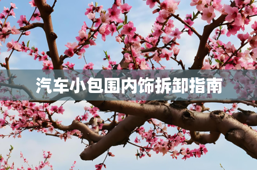 汽车小包围内饰拆卸指南