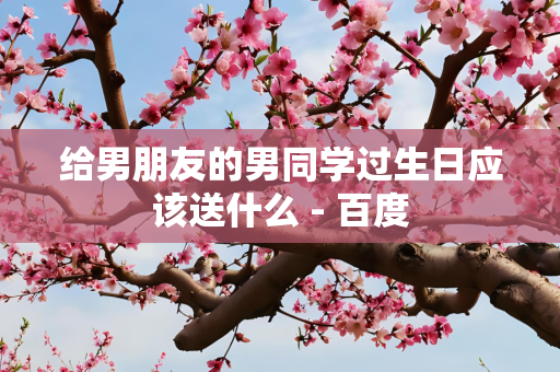 给男朋友的男同学过生日应该送什么 - 百度