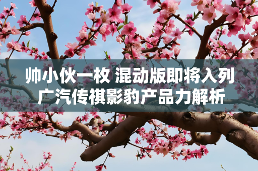 帅小伙一枚 混动版即将入列 广汽传祺影豹产品力解析