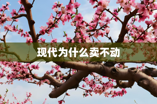 现代为什么卖不动