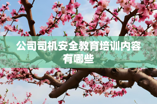 公司司机安全教育培训内容有哪些
