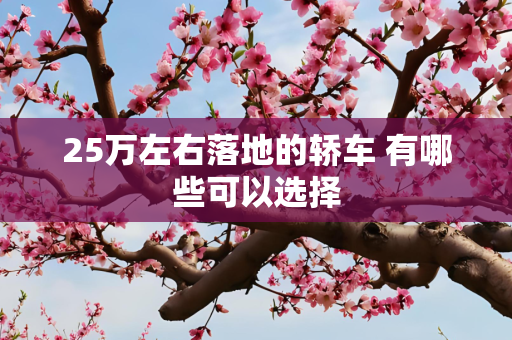 25万左右落地的轿车 有哪些可以选择