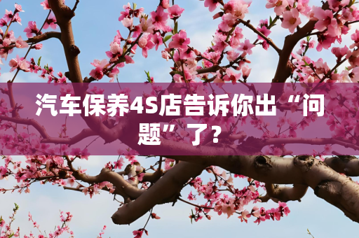 汽车保养4S店告诉你出“问题”了？