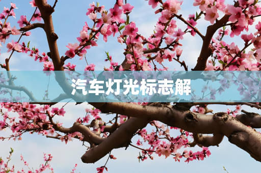 汽车灯光标志解