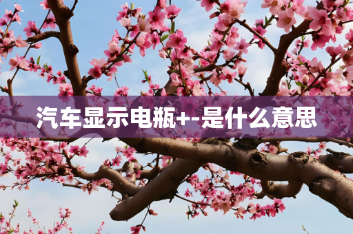 汽车显示电瓶+-是什么意思
