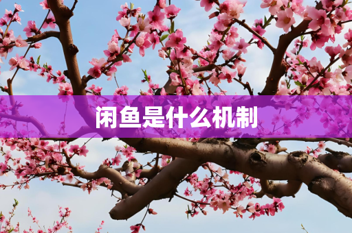 国际 第274页