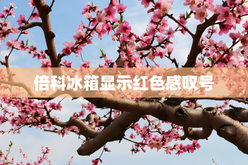 倍科冰箱显示红色感叹号