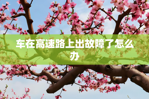 车在高速路上出故障了怎么办