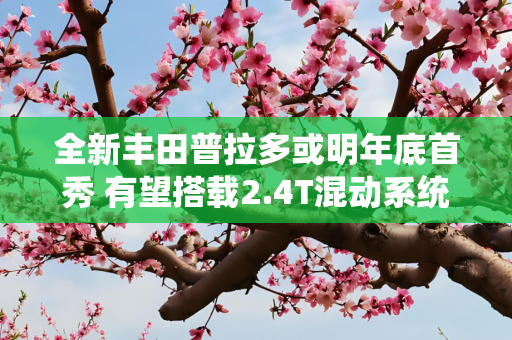 全新丰田普拉多或明年底首秀 有望搭载2.4T混动系统