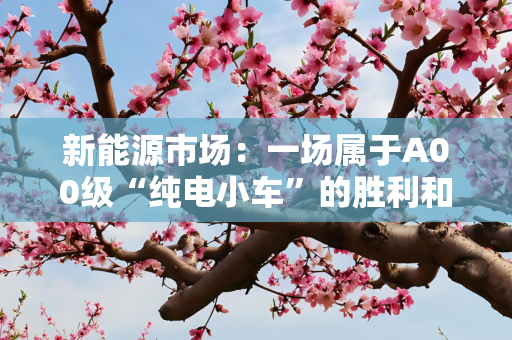 新能源市场：一场属于A00级“纯电小车”的胜利和狂欢