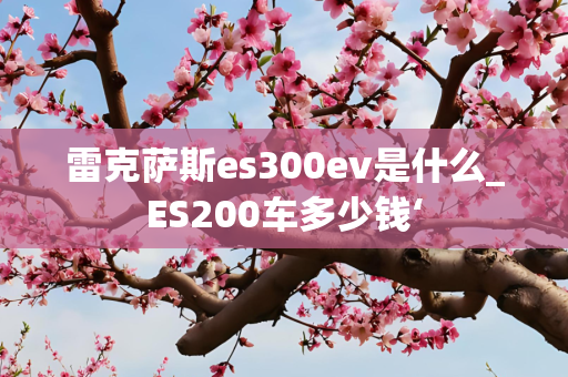 雷克萨斯es300ev是什么_ES200车多少钱‘