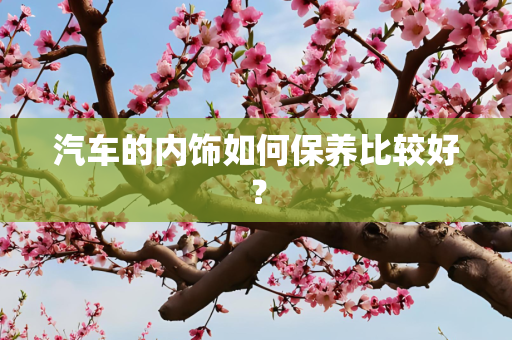 汽车的内饰如何保养比较好？