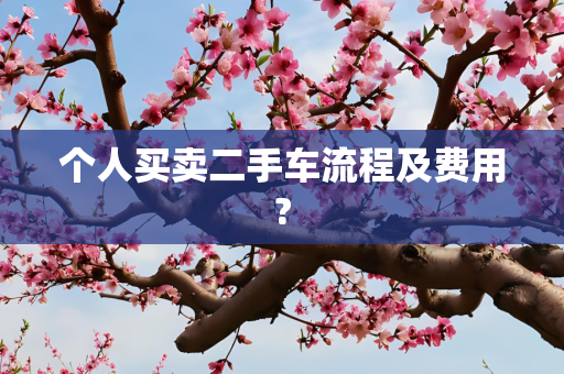 个人买卖二手车流程及费用?
