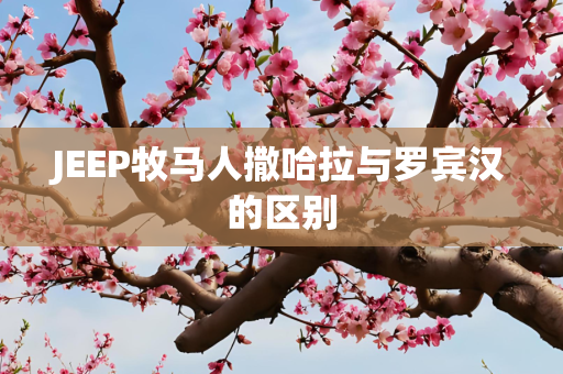 JEEP牧马人撒哈拉与罗宾汉的区别