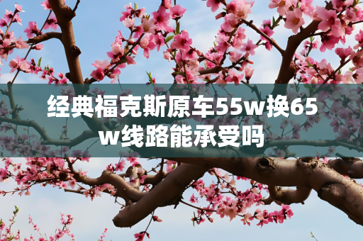 经典福克斯原车55w换65w线路能承受吗