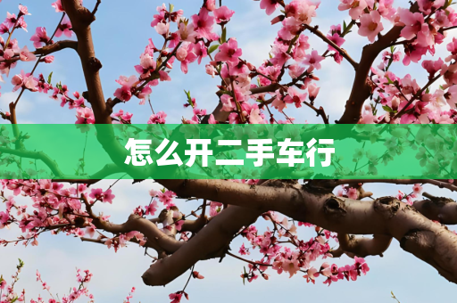 怎么开二手车行