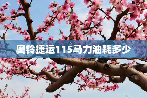 奥铃捷运115马力油耗多少