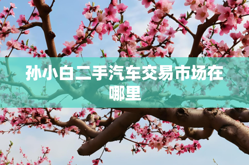 孙小白二手汽车交易市场在哪里