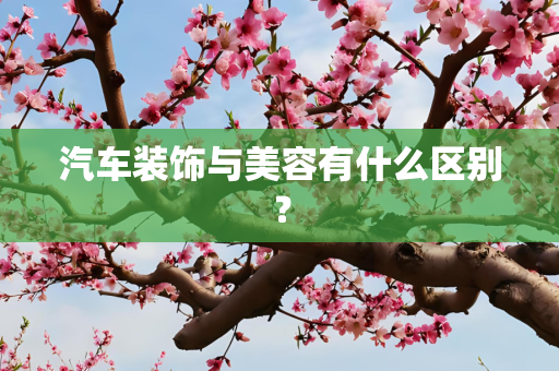 汽车装饰与美容有什么区别？