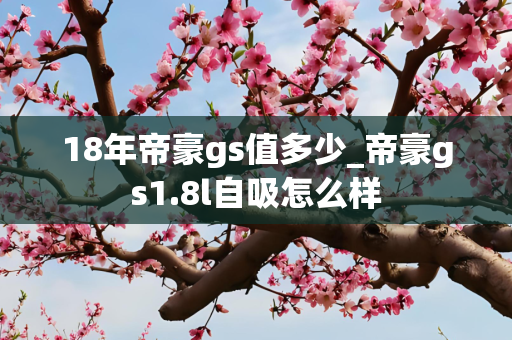 18年帝豪gs值多少_帝豪gs1.8l自吸怎么样