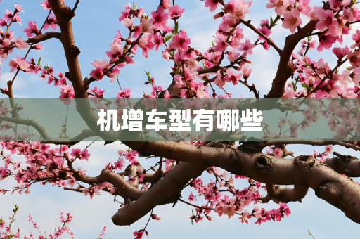 机增车型有哪些
