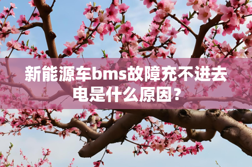 新能源车bms故障充不进去电是什么原因？