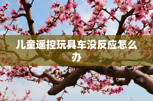 儿童遥控玩具车没反应怎么办