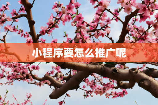 小程序要怎么推广呢