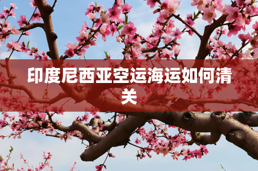印度尼西亚空运海运如何清关