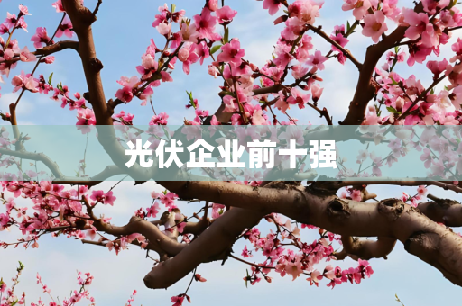 光伏企业前十强