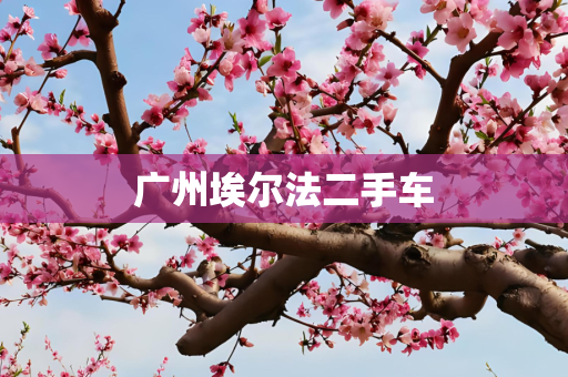 广州埃尔法二手车