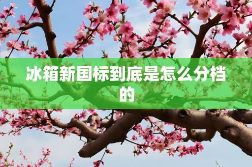 冰箱新国标到底是怎么分档的
