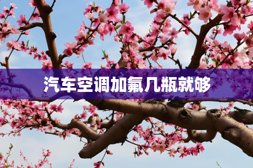 汽车空调加氟几瓶就够