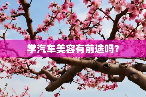 学汽车美容有前途吗？