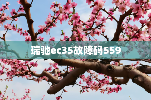 瑞驰ec35故障码559