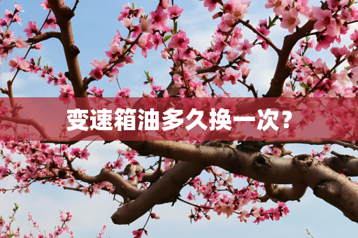 变速箱油多久换一次？