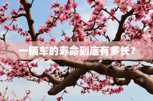 一辆车的寿命到底有多长？