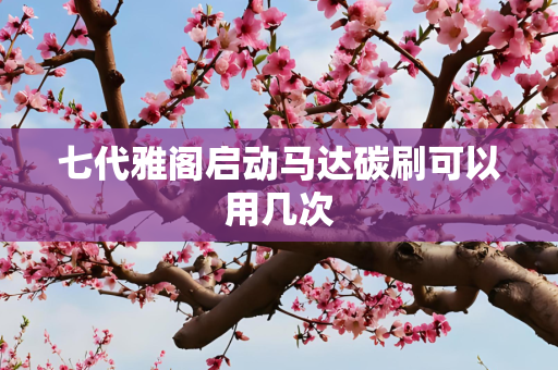 七代雅阁启动马达碳刷可以用几次