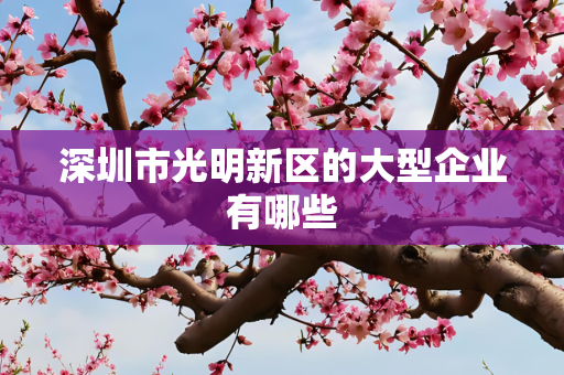 深圳市光明新区的大型企业有哪些