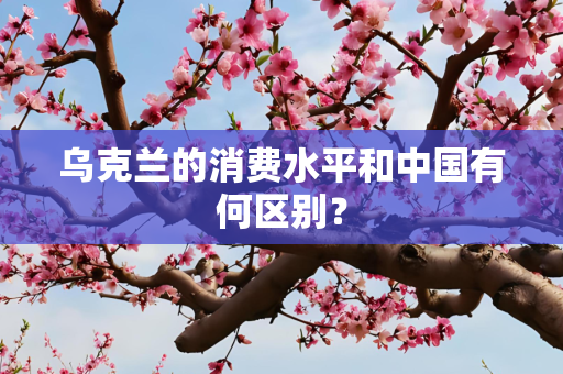 乌克兰的消费水平和中国有何区别？