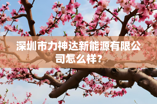 深圳市力神达新能源有限公司怎么样？