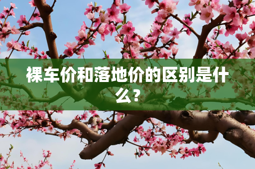 裸车价和落地价的区别是什么？