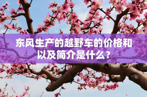 东风生产的越野车的价格和以及简介是什么？