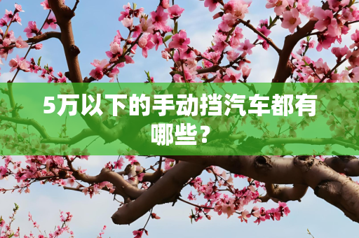 5万以下的手动挡汽车都有哪些？