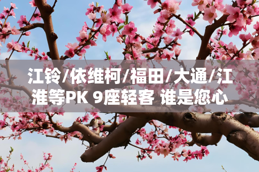 江铃/依维柯/福田/大通/江淮等PK 9座轻客 谁是您心中最爱？