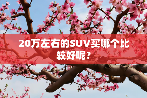 20万左右的SUV买哪个比较好呢？