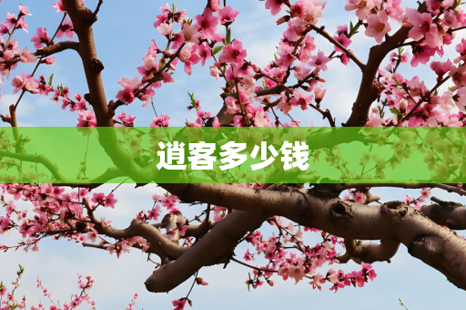 逍客多少钱