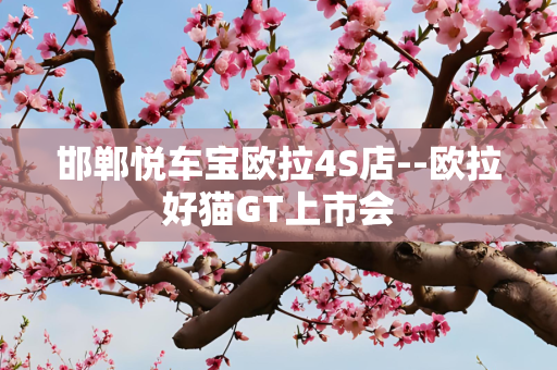 邯郸悦车宝欧拉4S店--欧拉好猫GT上市会