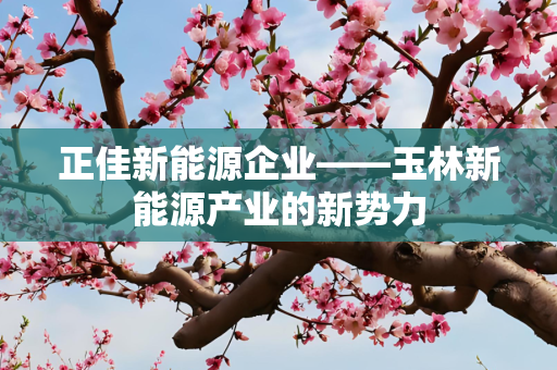 正佳新能源企业——玉林新能源产业的新势力